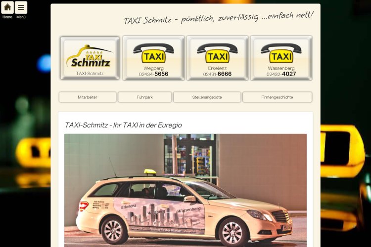 Website www.taxischmitz.de